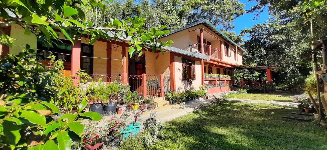 Tenam Garden Homestay كاليمبونج المظهر الخارجي الصورة